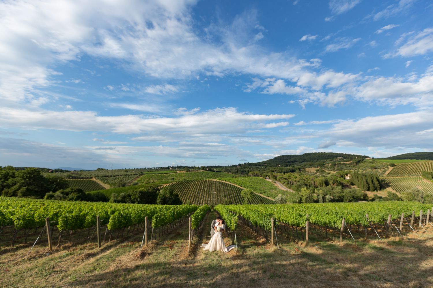 Stunning view of Chianti Hills, with their Vineyards and Olive groves</p><p><a class='btn btn-default' href='where-we-are/'>Read more</a>